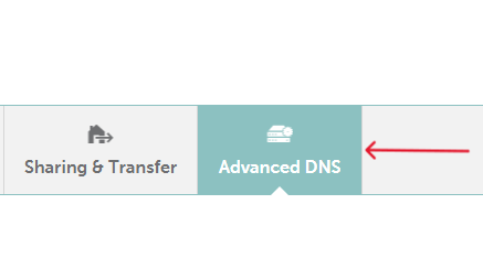 Advanced DNS Step - Click on Advanced DNS Settings to view your records